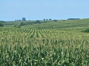 Burt County, Nebraska farm land for sale