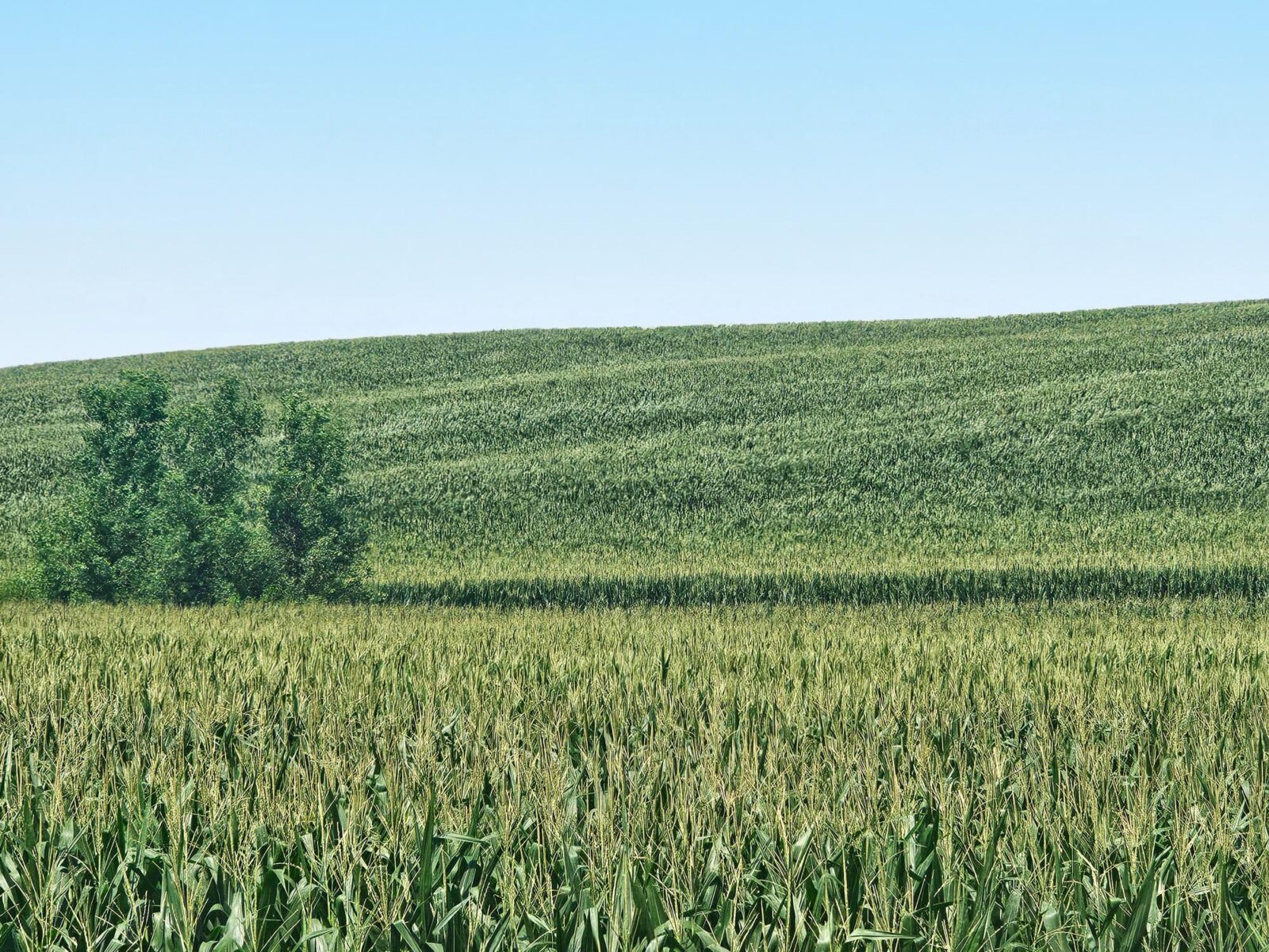 Burt County, Nebraska farm land for sale