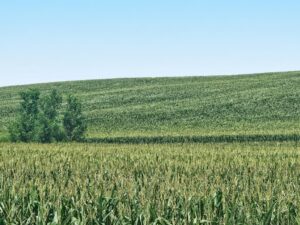 Burt County, Nebraska farm land for sale