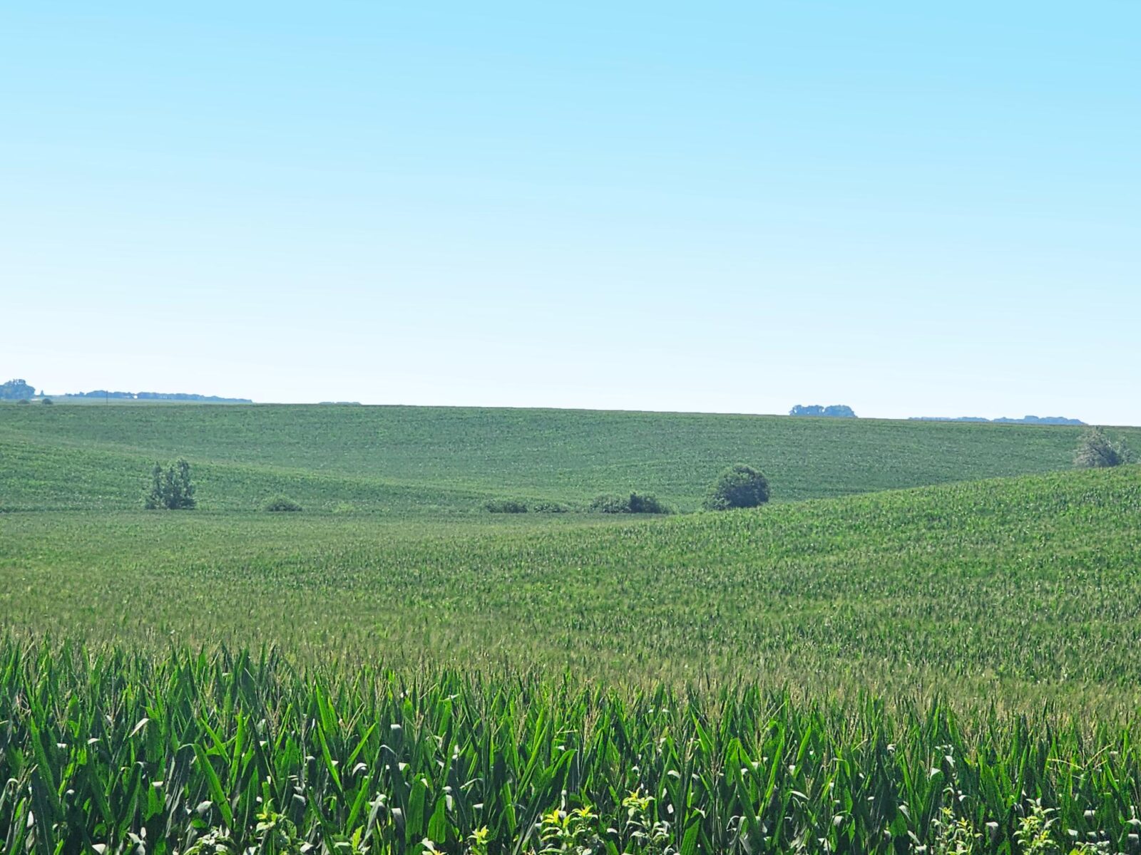 Burt County, Nebraska farm land for sale