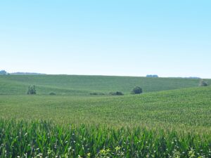 Burt County, Nebraska farm land for sale