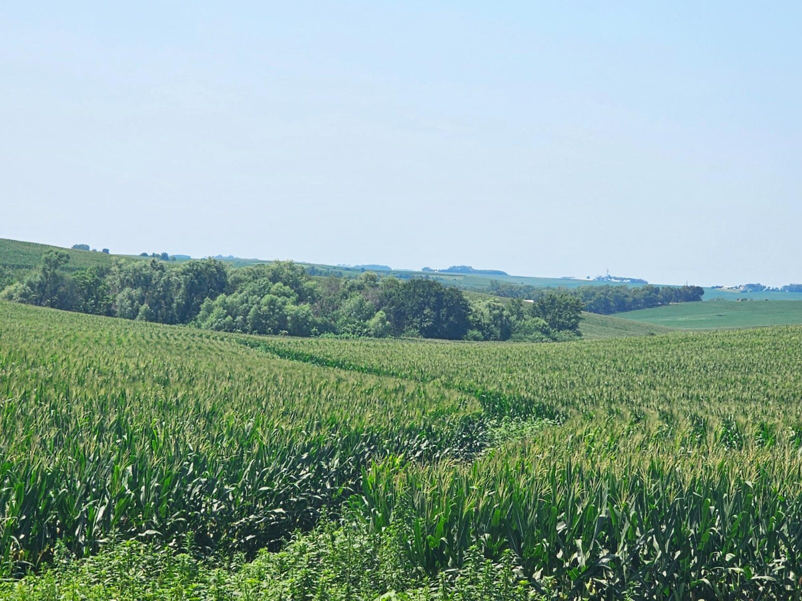 Burt County, Nebraska farm land for sale