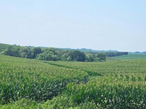 Burt County, Nebraska farm land for sale
