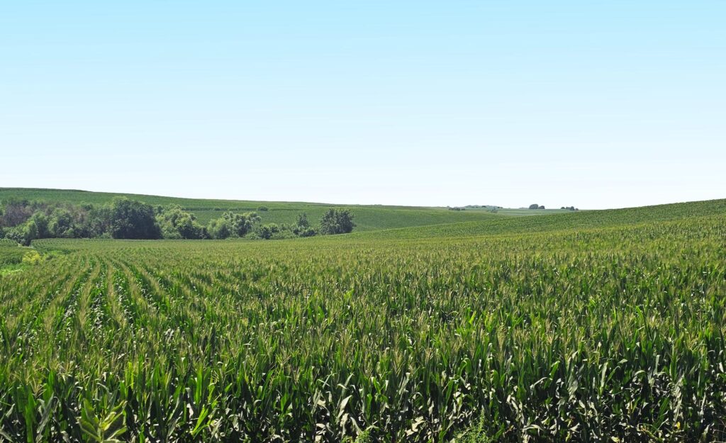 Nebraska Land for Sale  