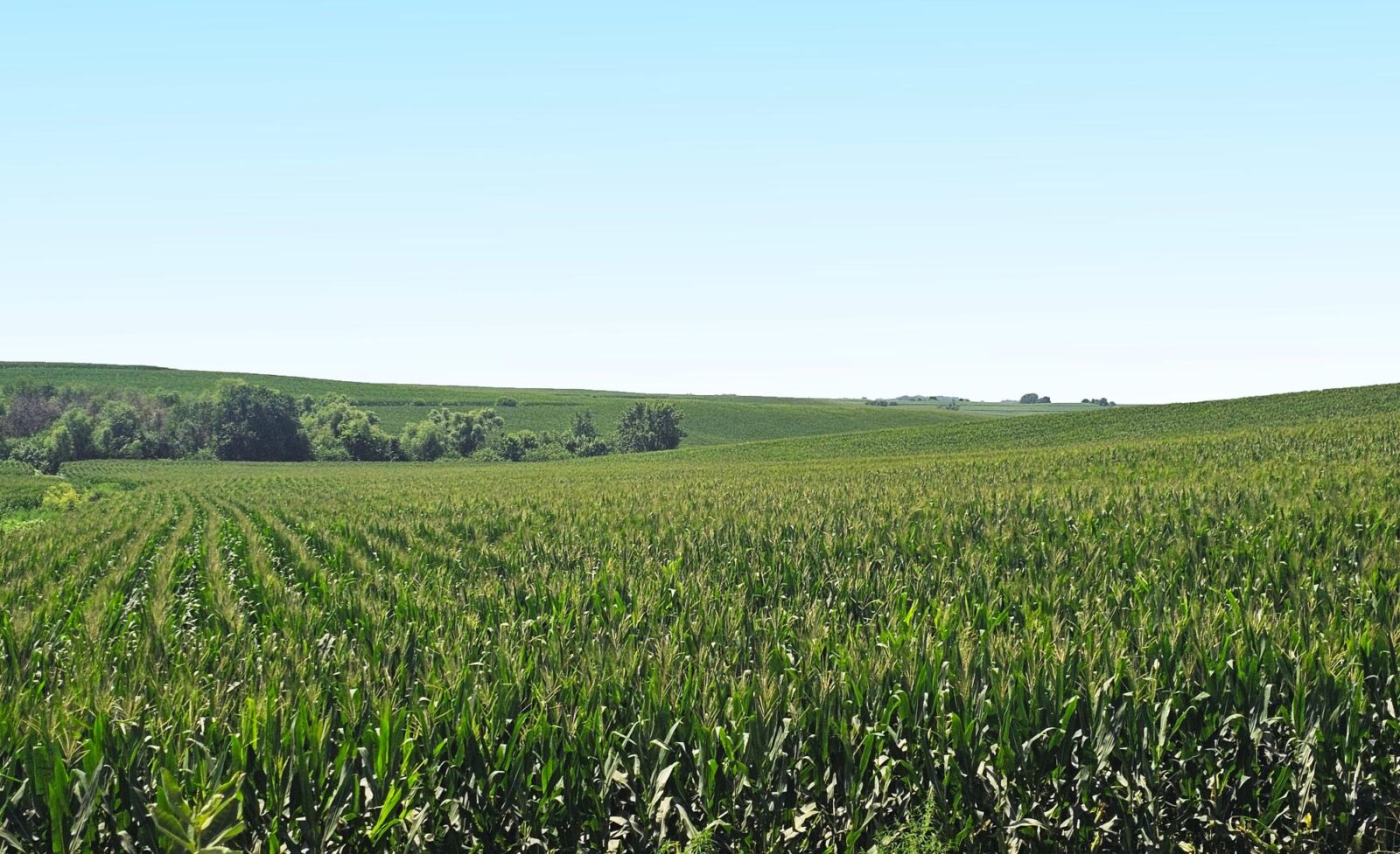 Burt County, Nebraska farm land for sale