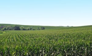 Burt County, Nebraska farm land for sale