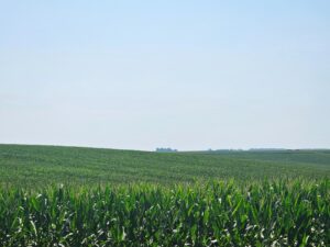 Burt County, Nebraska farm land for sale