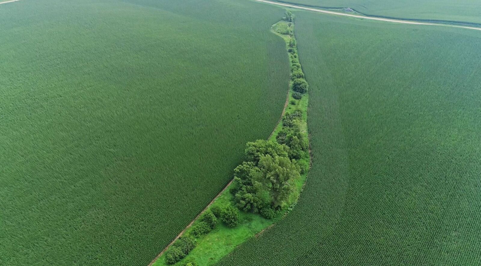 burt county nebraska farm for sale