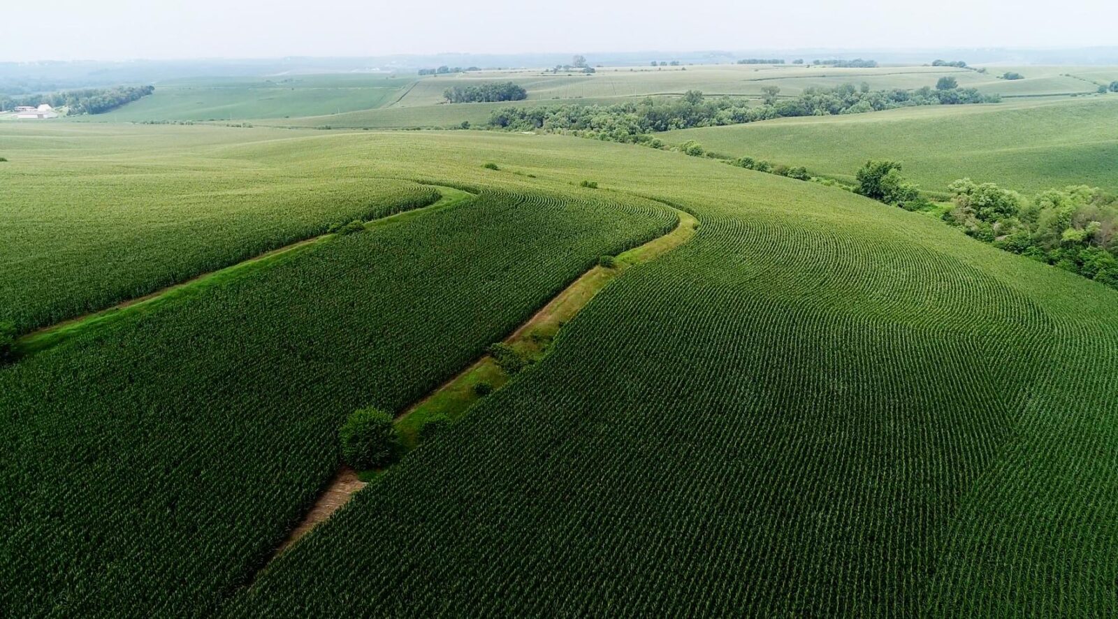 burt county nebraska farm for sale
