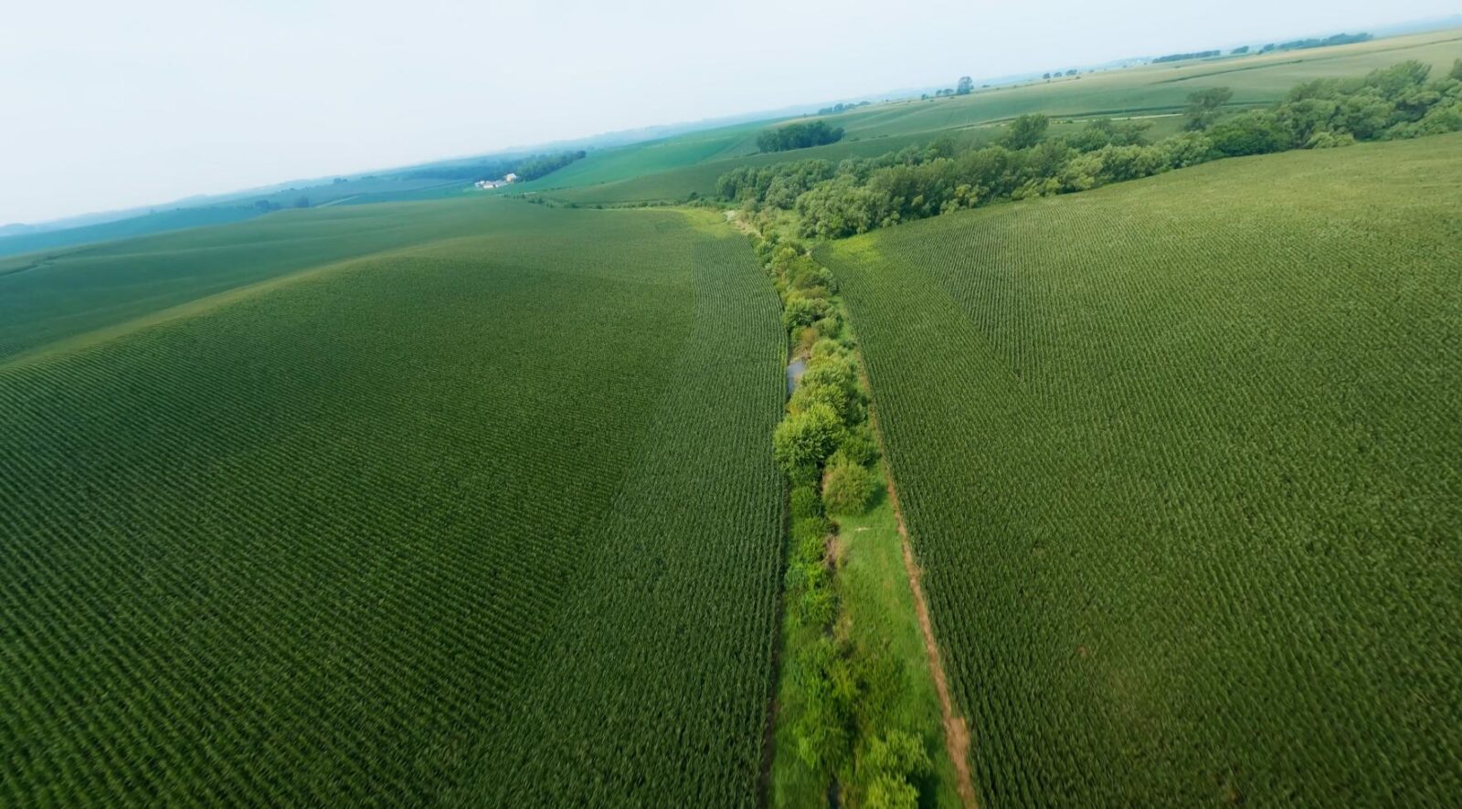 burt county nebraska farm for sale