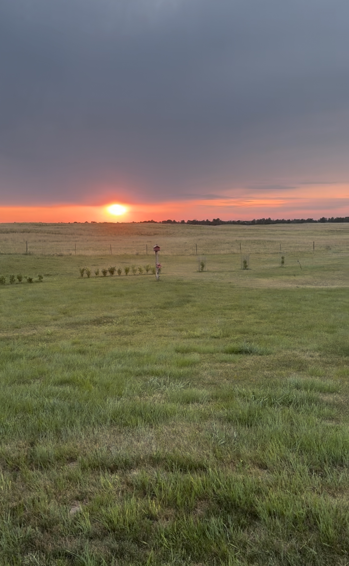 41 Acres, 89331 US Hwy 83, Valentine, NE