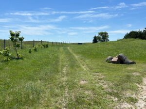 89331 US Hwy 83, Valentine, NE Acreage home for sale