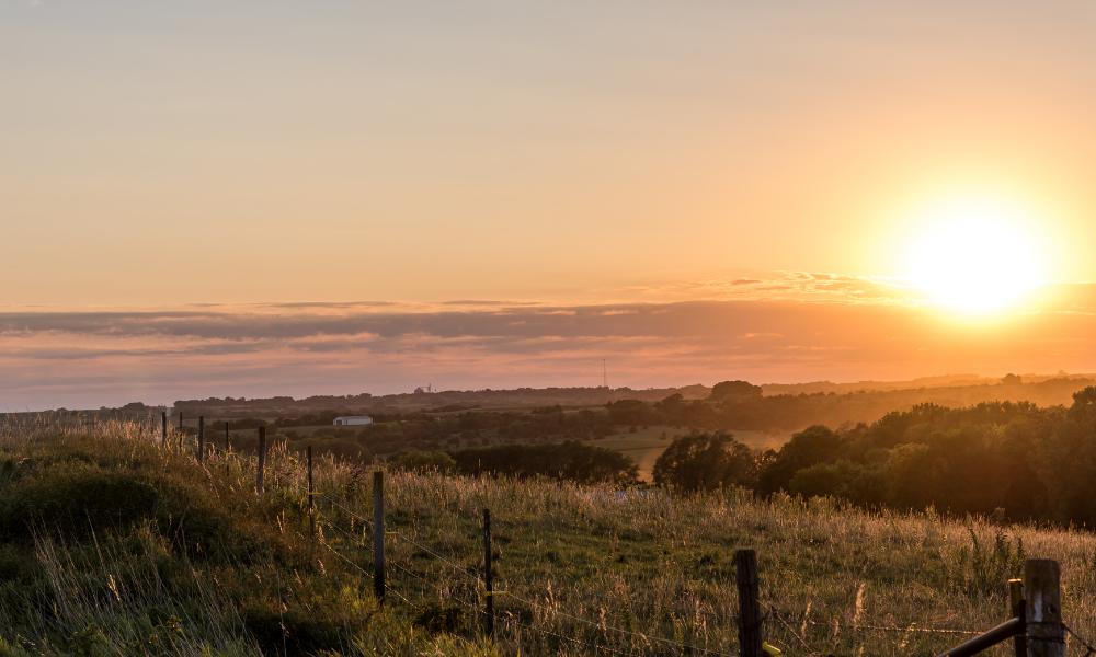 What Does a Farm and Ranch Manager Do? Top Benefits of Hiring a Farm and Ranch Management Company   