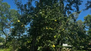 2581 N Hwy 83 North Platte, NE 69101 home for sale