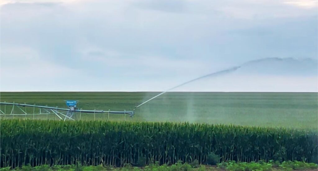 156 Acres, Gosper County Irrigated Farm  