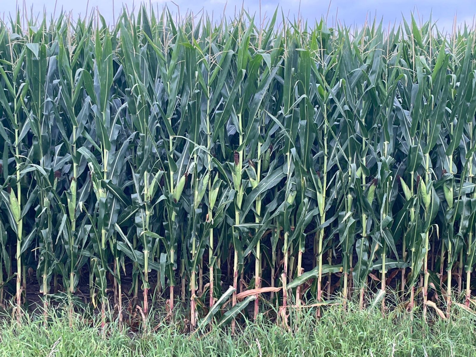 Gosper County, Nebraksa farm land for sale