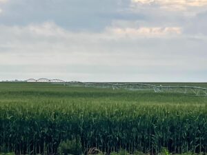 Gosper County, Nebraksa farm land for sale