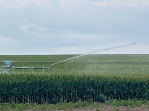 Gosper County, Nebraksa farm land for sale