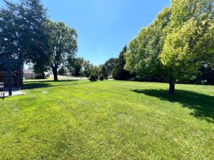 105 Rodney Wallace, NE home for sale