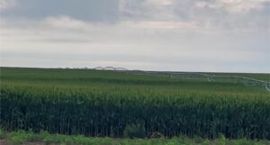 Gosper County, Nebraksa farm land for sale
