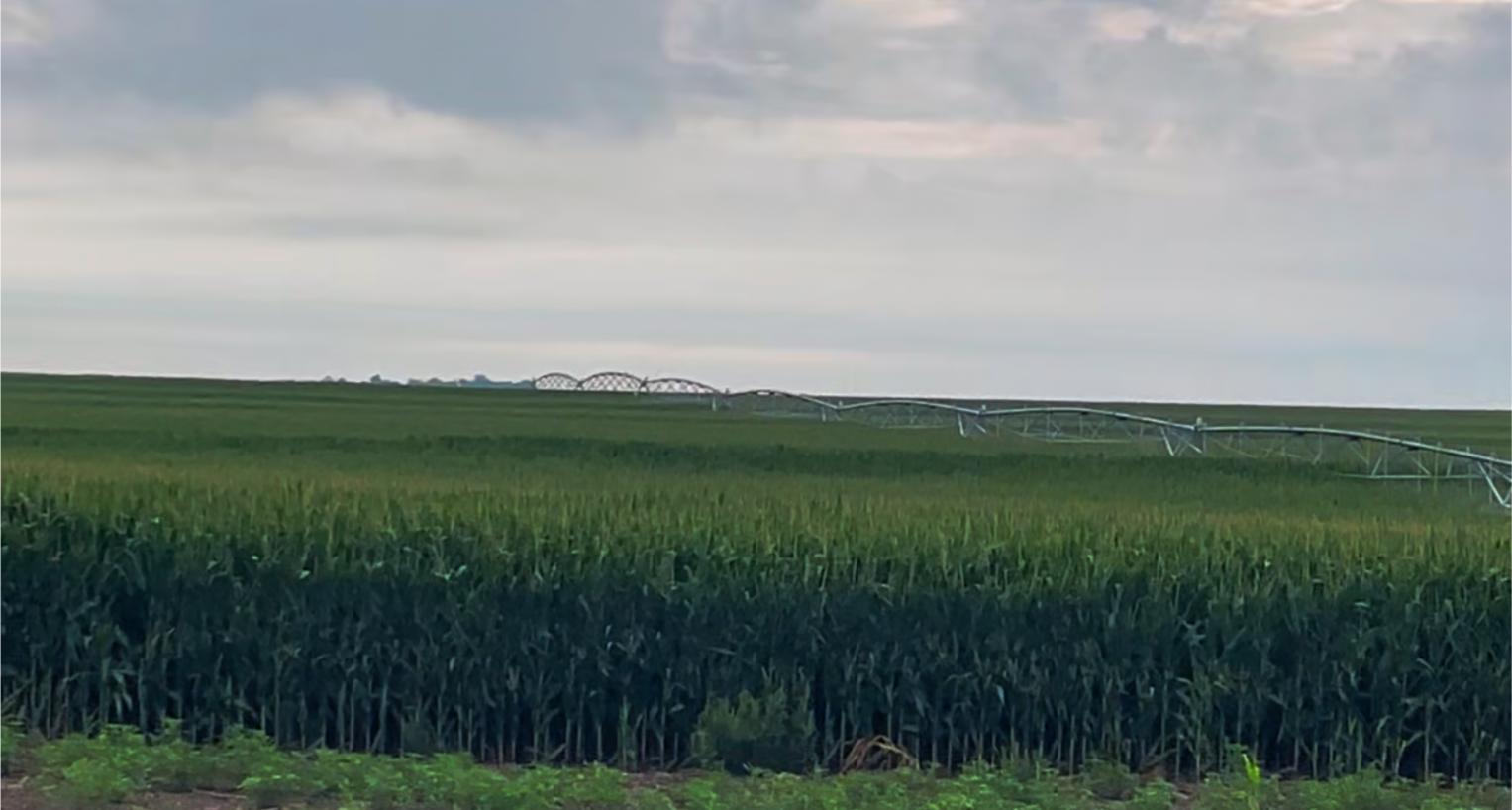 Gosper County, Nebraksa farm land for sale