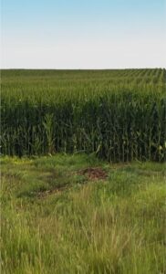 Gosper County, Nebraksa farm land for sale