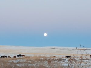Bridgeport, NE home and land for sale acreage