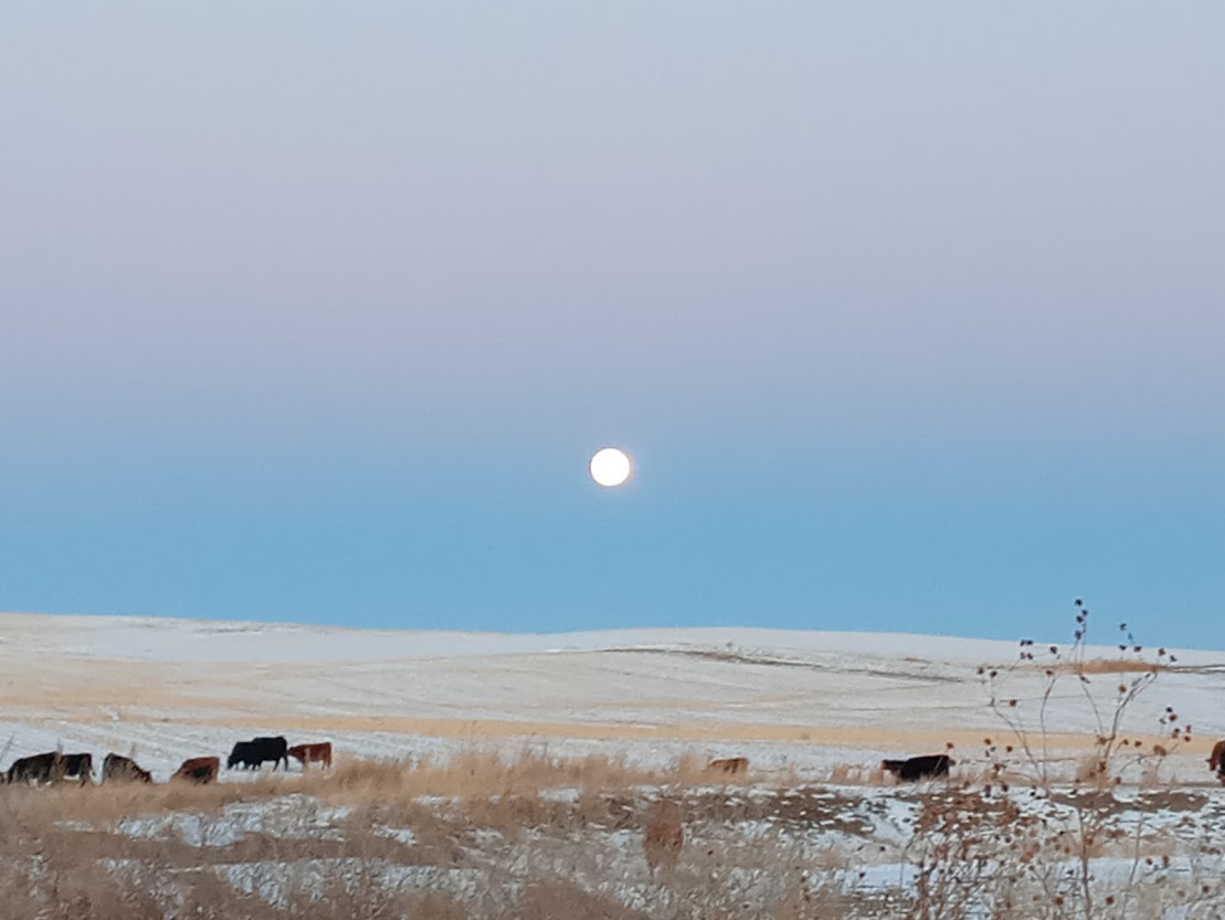 Bridgeport, NE home and land for sale acreage