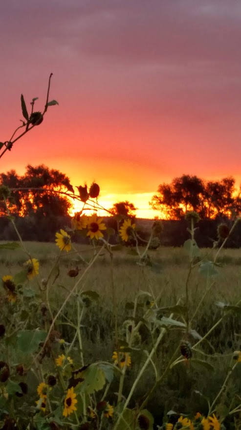 16 Acres, Morrill County, Bridgeport Country Acreage