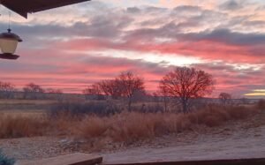 Bridgeport, NE home and land for sale acreage