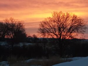 Bridgeport, NE home and land for sale acreage