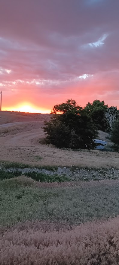 Bridgeport, NE home and land for sale acreage
