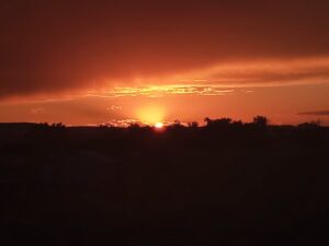 Bridgeport, NE home and land for sale acreage