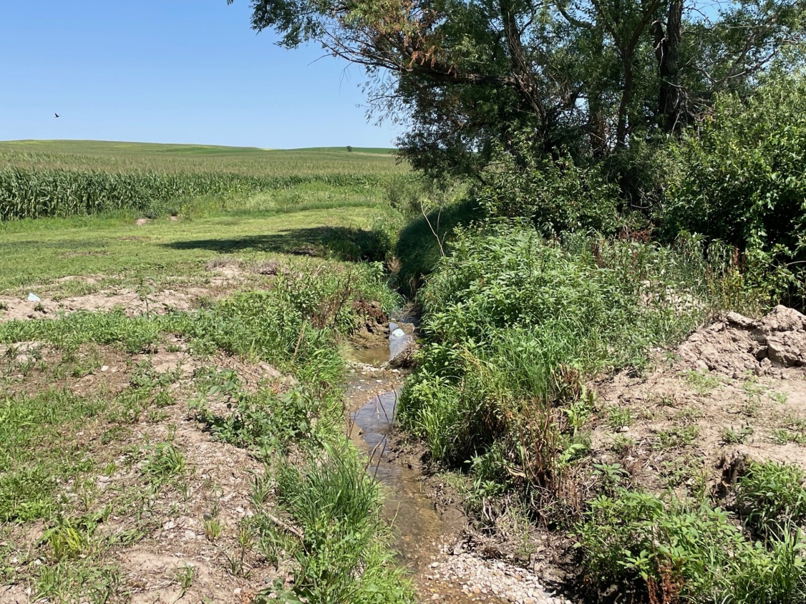 Bridgeport, NE home and land for sale acreage