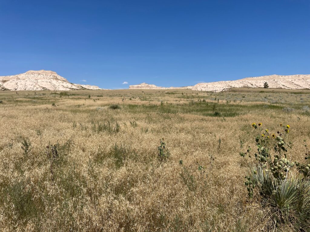 25 Acres, Scotts Bluff County Acreage  