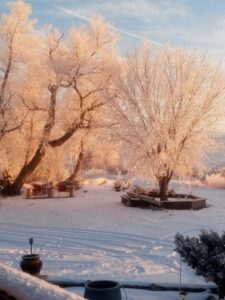Bridgeport, NE home and land for sale acreage