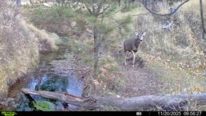 1,319 Acres, Dawes County, Pine Ridge Recreational Oasis