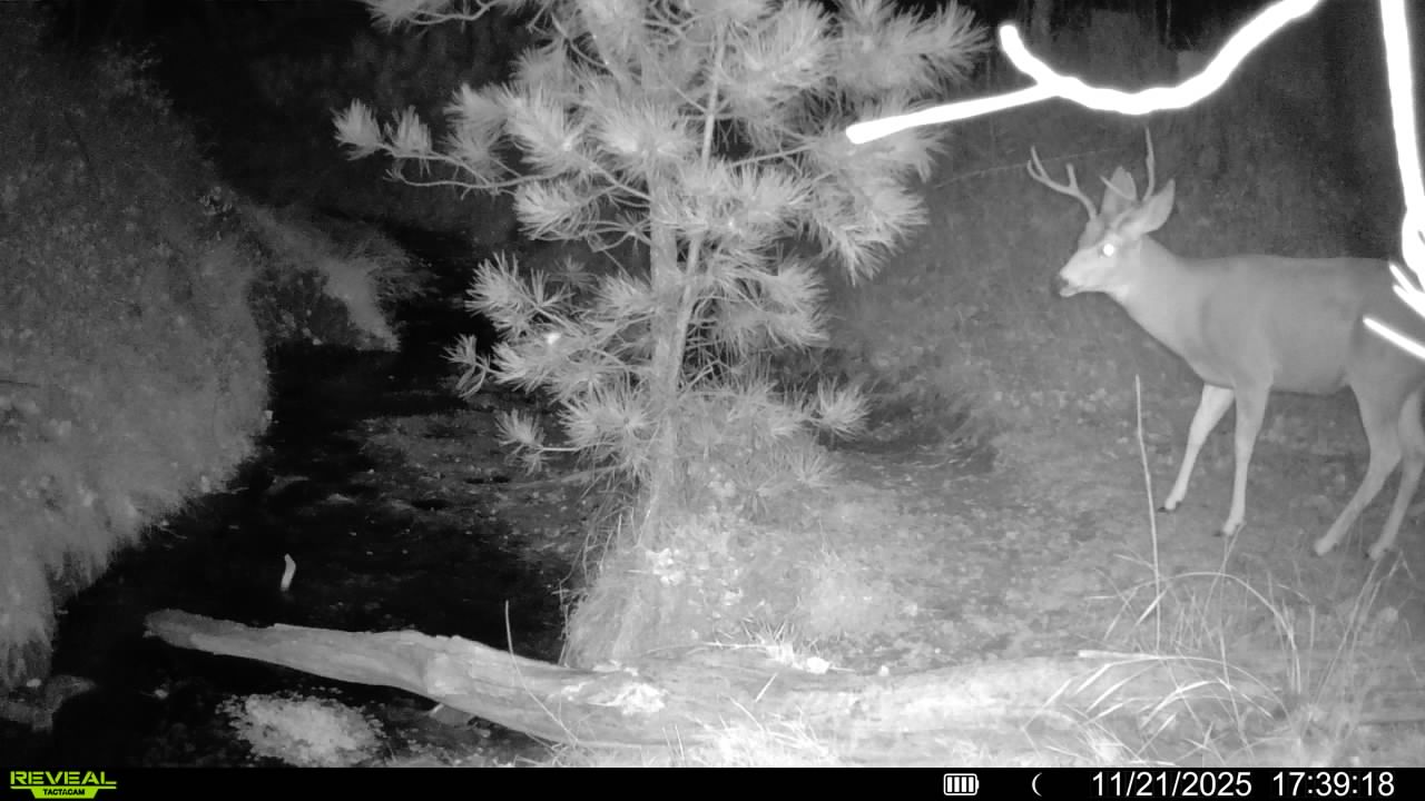 1,319 Acres, Dawes County, Pine Ridge Recreational Oasis