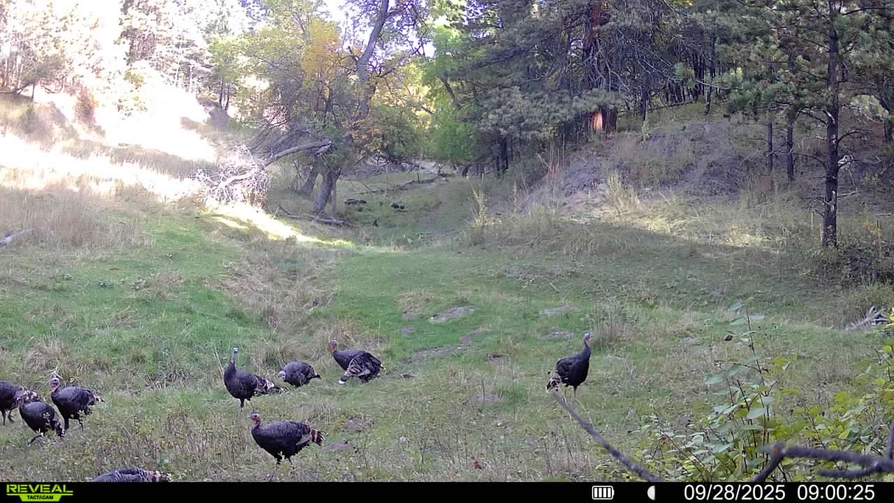 1,319 Acres, Dawes County, Pine Ridge Recreational Oasis