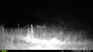 1,319 Acres, Dawes County, Pine Ridge Recreational Oasis