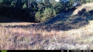 1,319 Acres, Dawes County, Pine Ridge Recreational Oasis