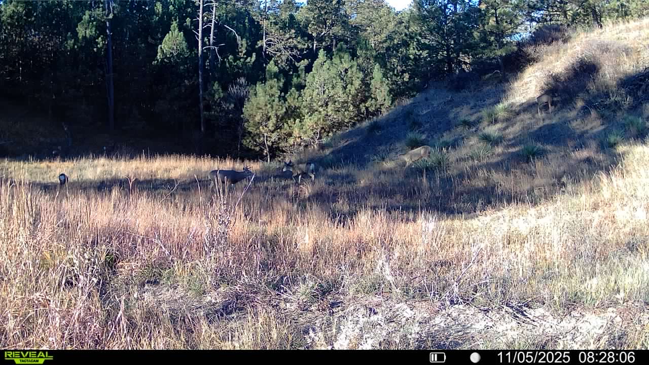 1,319 Acres, Dawes County, Pine Ridge Recreational Oasis