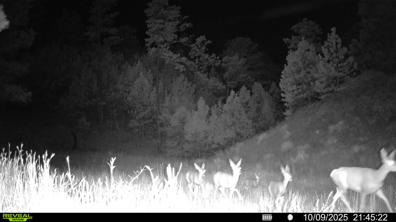 1,319 Acres, Dawes County, Pine Ridge Recreational Oasis