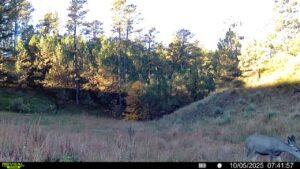 1,319 Acres, Dawes County, Pine Ridge Recreational Oasis