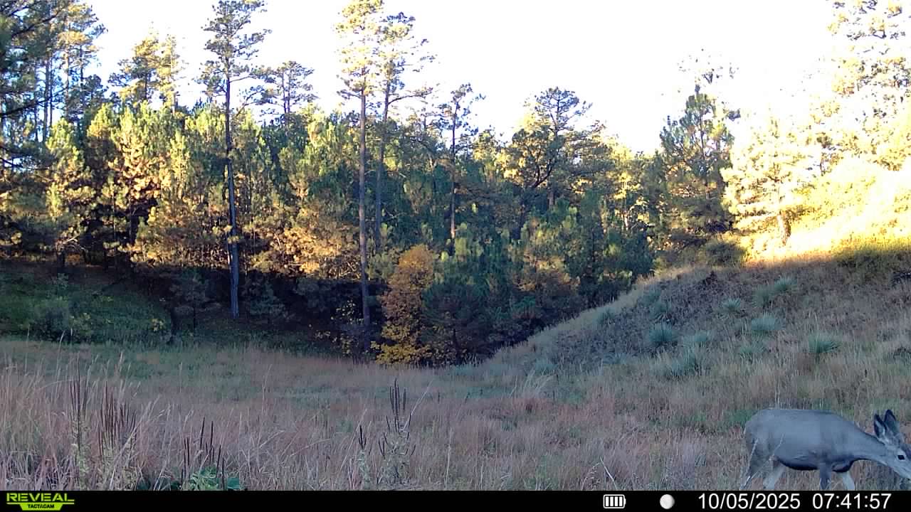 1,319 Acres, Dawes County, Pine Ridge Recreational Oasis