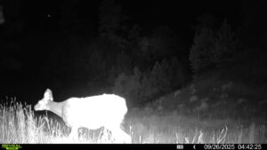 1,319 Acres, Dawes County, Pine Ridge Recreational Oasis