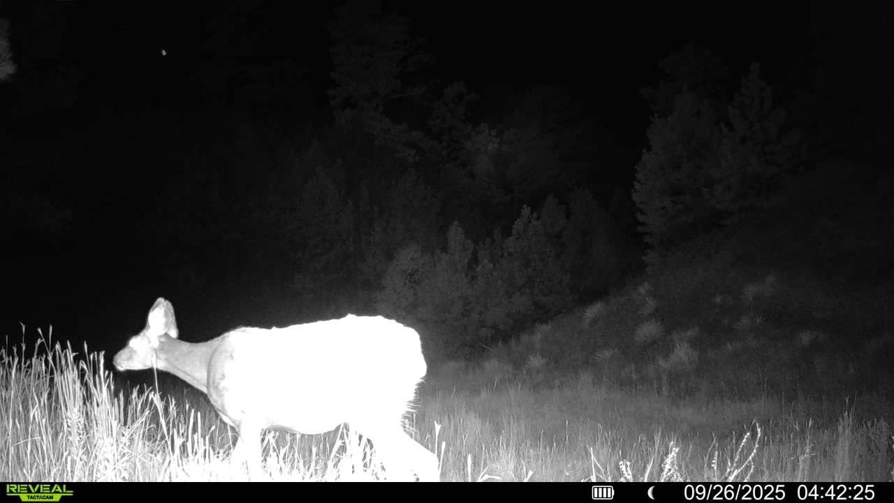 1,319 Acres, Dawes County, Pine Ridge Recreational Oasis