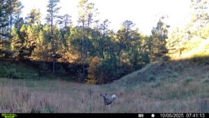 1,319 Acres, Dawes County, Pine Ridge Recreational Oasis