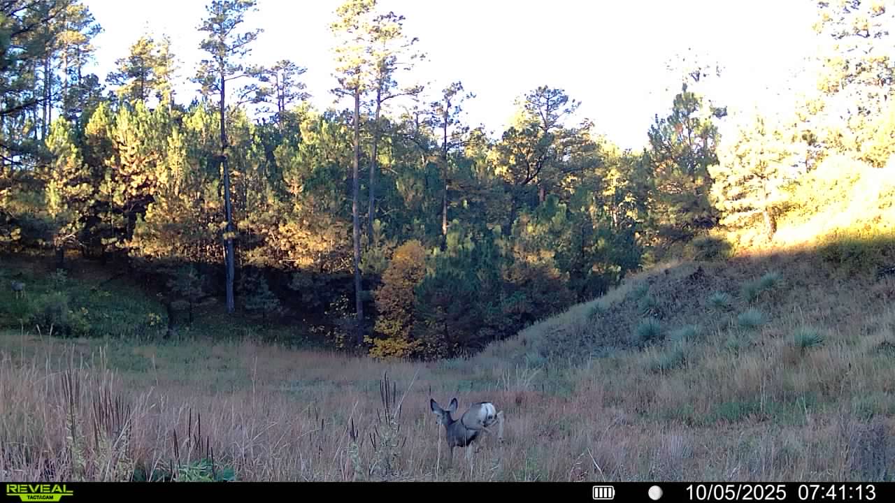 1,319 Acres, Dawes County, Pine Ridge Recreational Oasis