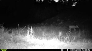 1,319 Acres, Dawes County, Pine Ridge Recreational Oasis